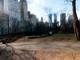 Central Park View